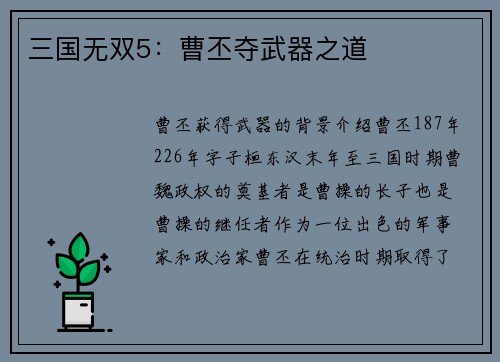 三国无双5：曹丕夺武器之道